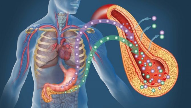 Insulino resistenza che cosè e come comportarsi Nutrizionismi