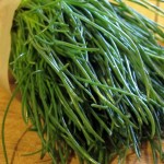 Conosciamo gli agretti