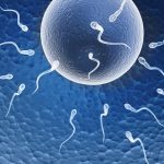 Fertilità e peso corporeo